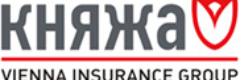 logo Княжа
